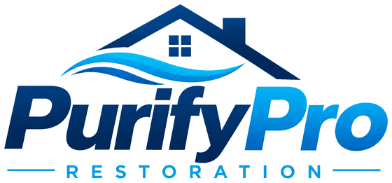 Purify Pro Restoration